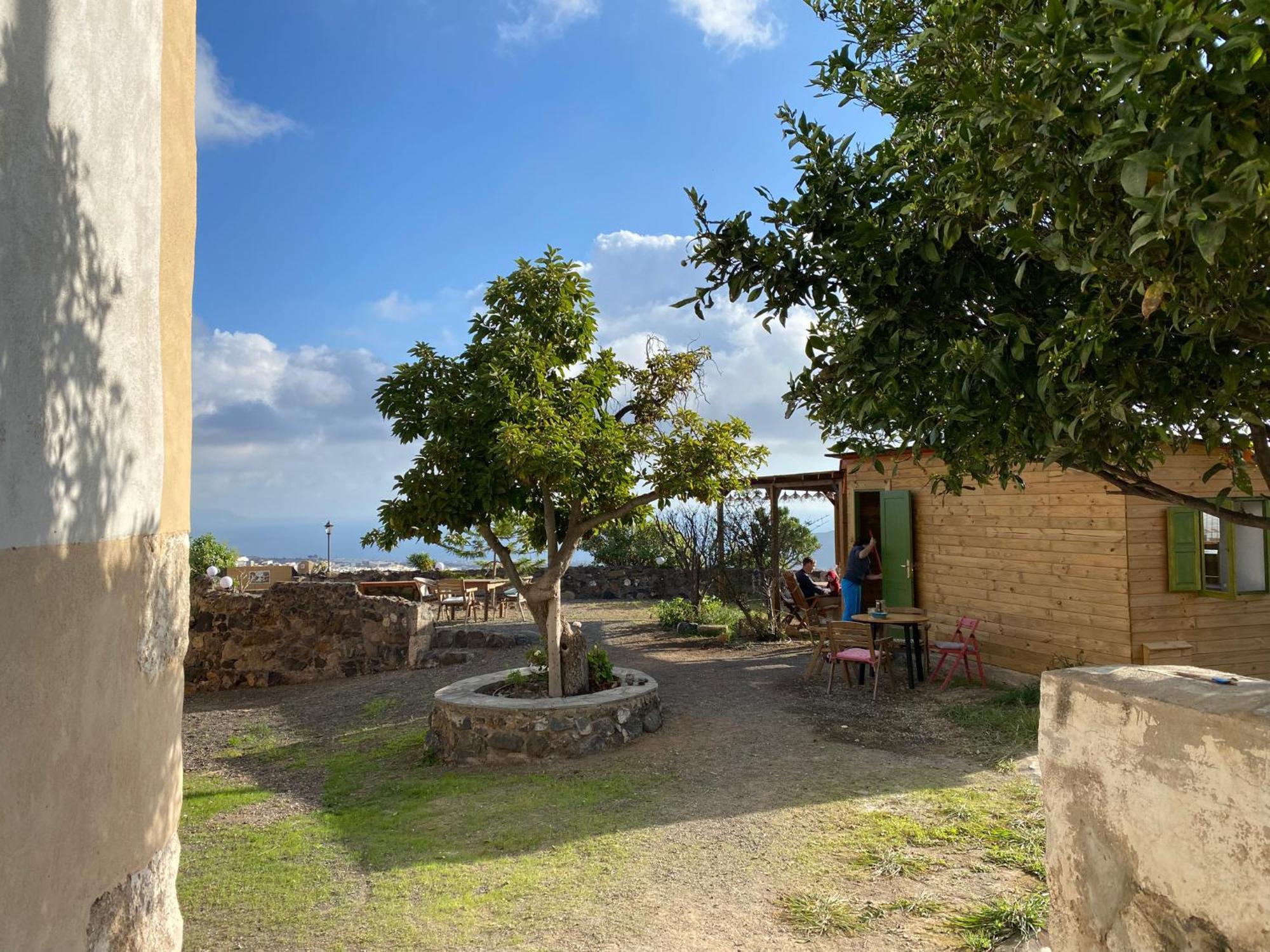 Biofinca Casa El Riego Güimar Extérieur photo