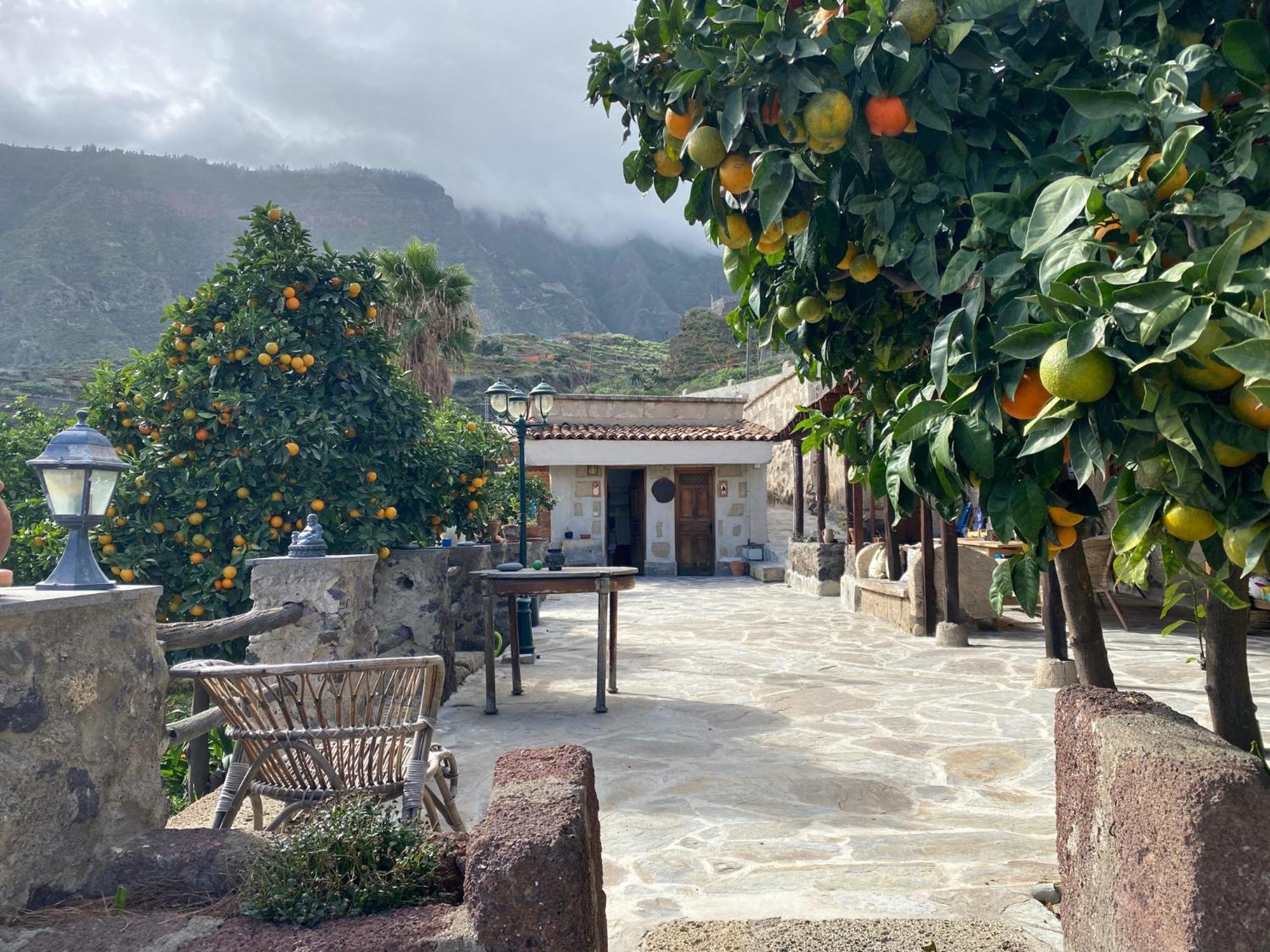 Biofinca Casa El Riego Güimar Extérieur photo
